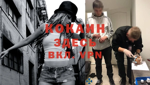 гашик Беломорск