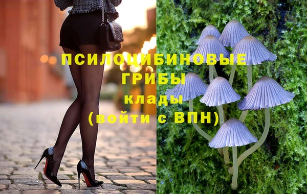 гашик Беломорск