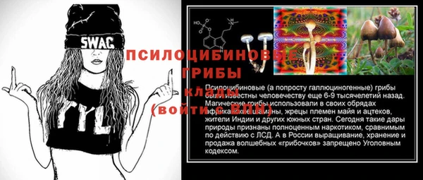 MESCALINE Белокуриха
